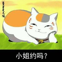 猫咪老师猥琐脸系列文字表情包情侣专用 把钱交粗来