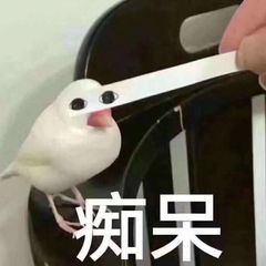 痴果