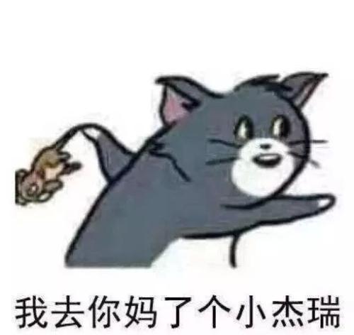 我去你妈了个小杰瑞