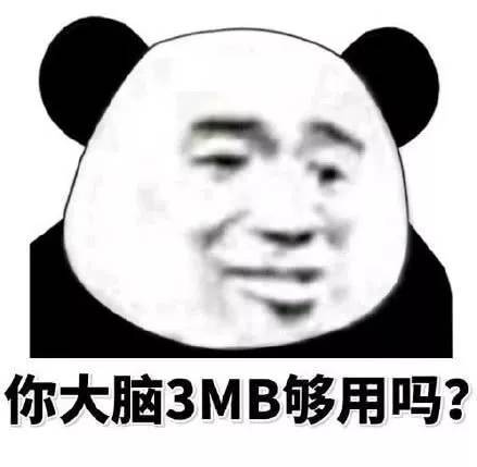 你大脑3MB够用吗？