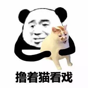 撸着猫看戏