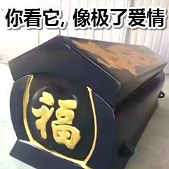 你看它，像极了爱情