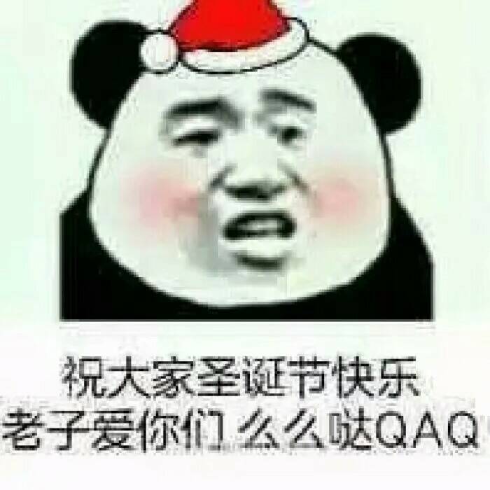 祝大家圣诞节快乐老子爱你们么么哒