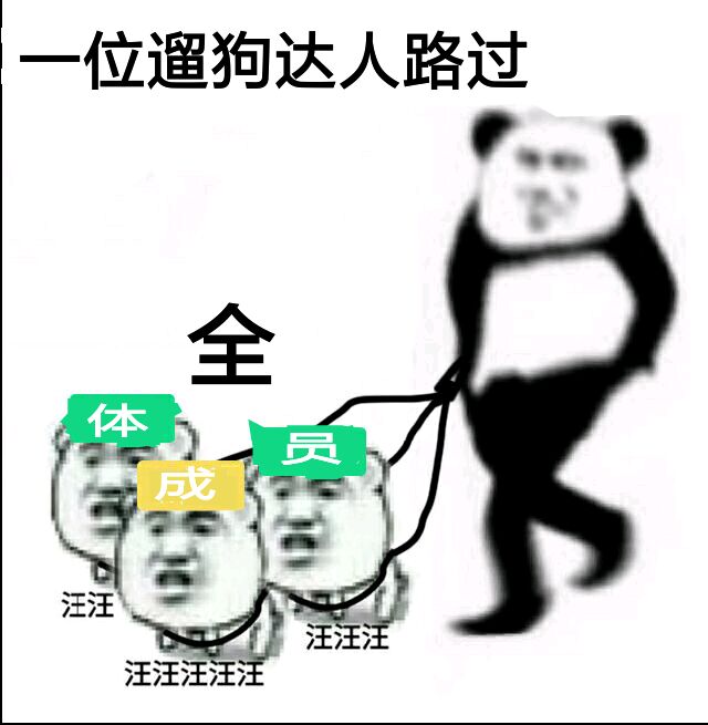 一位遛狗达人路过