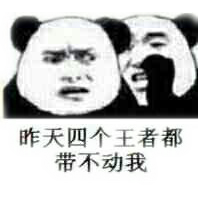 昨天四个王者都带不动我！