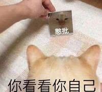 憨批你看看你自己