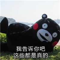 熊本熊系列之反鸡汤文字表情包 这些都是真的