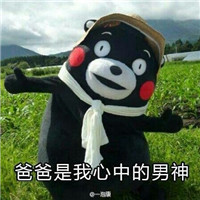 熊本熊系列之父亲节文字表情包 父亲节撩爸表情包