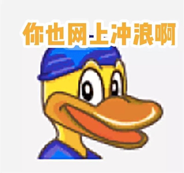 你也网冲浪啊