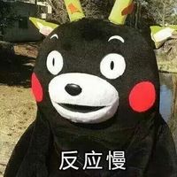 熊本熊带字表情图片最新版 喜欢一个人的表现