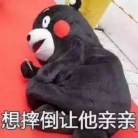 熊本熊带字表情图片最新版 喜欢一个人的表现