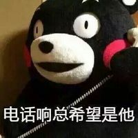 熊本熊带字表情图片最新版 喜欢一个人的表现