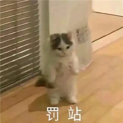 很拽的生气超级表情 吵架必备聊天表情大全