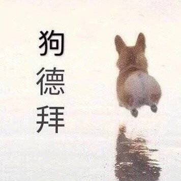 狗德拜