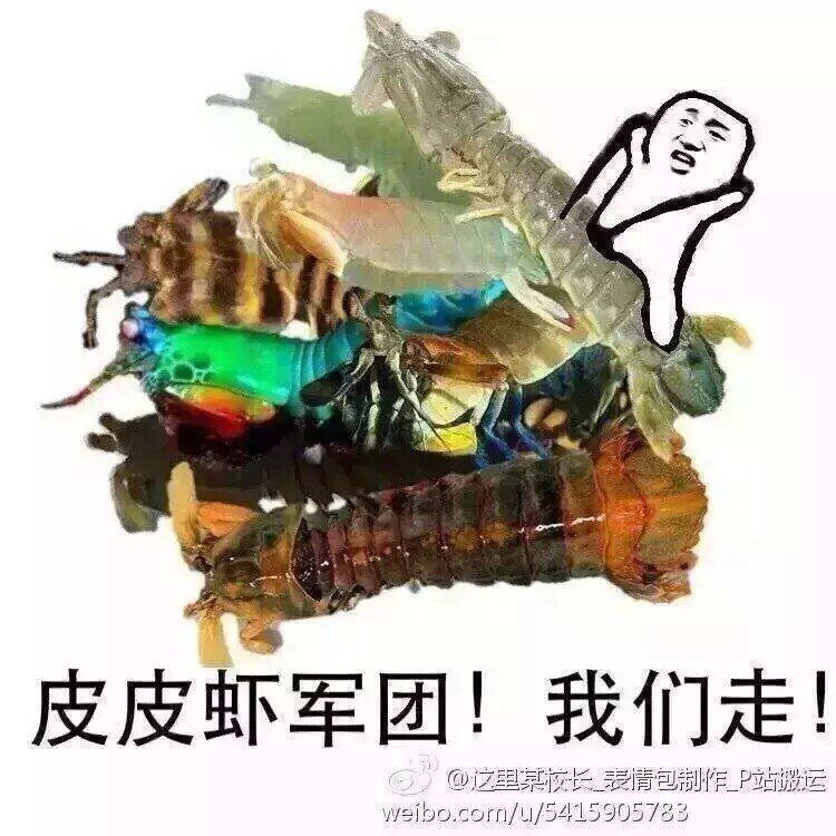 皮皮虾军团！我们走！