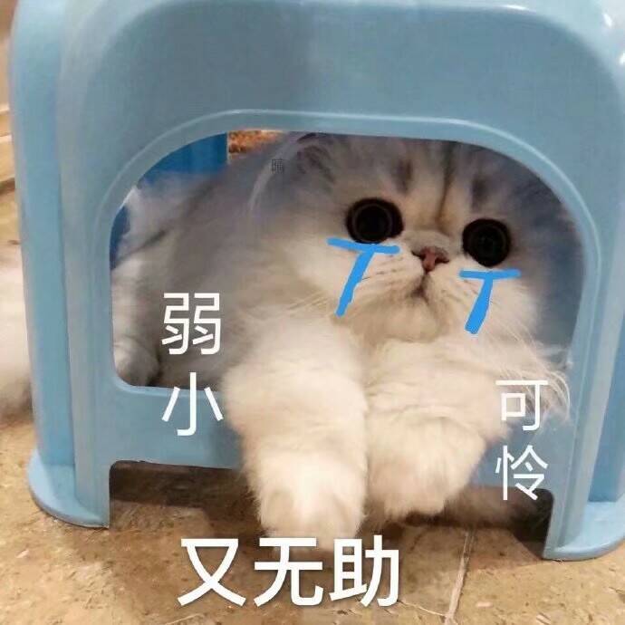 弱小又无助又可怜