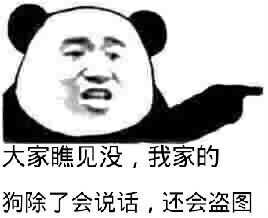 大家瞧见没，我家的狗除了会说话，还会盗图！