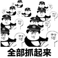 全部抓起来