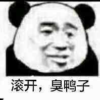 滚开，臭鸭子