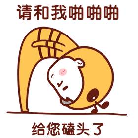 请和我啪啪啪，给你磕头了