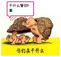 干什么管你P事，你们在干什么？