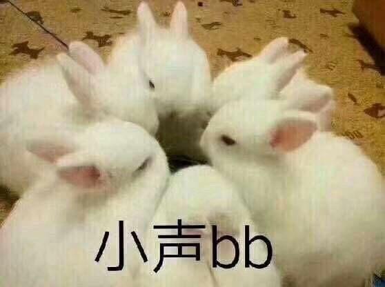 小声bb