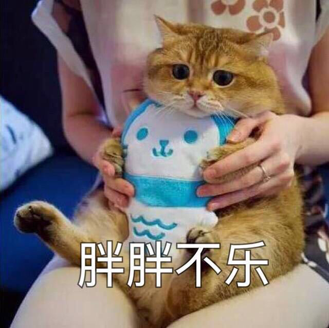 胖胖不乐