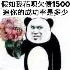 假如我花呗欠债1500，追你的成功率是多少