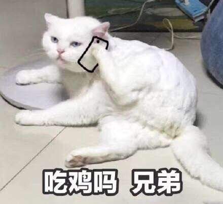 吃鸡吗？兄弟