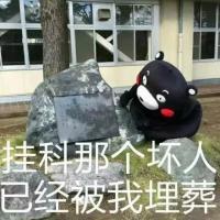 熊本熊搞笑文字表情包之挂科 我在学习呢