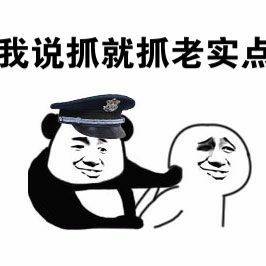 我说抓就抓老实点