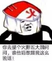 你去整个火影五大国问问，谁他妈敢跟我这么说话！