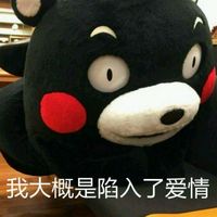 熊本熊聊天文字表情包 今日忌约