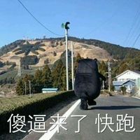 熊本熊聊天文字表情包 今日忌约