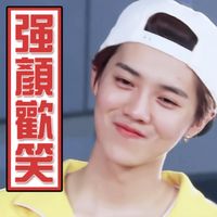 鹿晗可爱文字聊天表情包 本宝宝超可爱