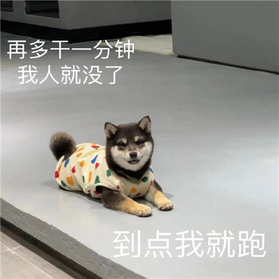 各种搞笑搞怪表情包合集 全都很实用又好笑的表情大全