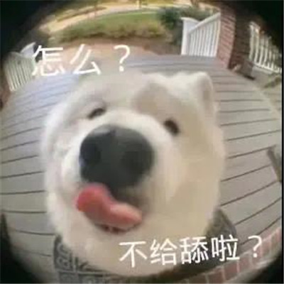 各种搞笑搞怪表情包合集 全都很实用又好笑的表情大全