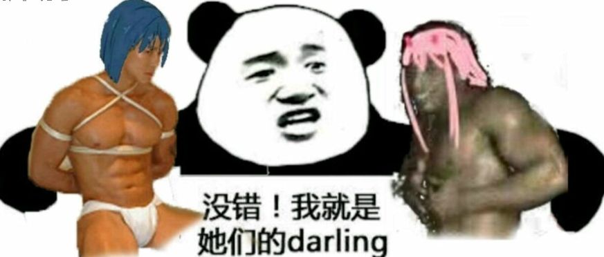 没错！我就是她们的 darling