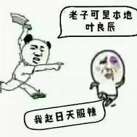 叶良辰表情图片 叶良辰魔性表情包带字2015最新版