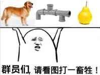 群员们请看图打一畜牲！