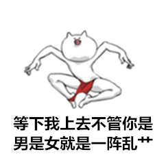 stylish cat系列表情 恶搞聊天表情包带字
