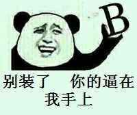 别装了你的逼在我手上