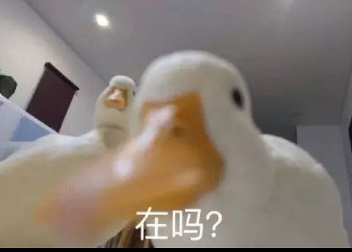 在吗？