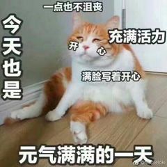 元气满满的一天