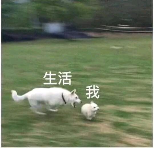 生活与我