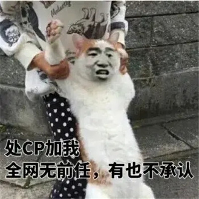 处cp表情搞笑又可爱表情 你看他们多般配啊