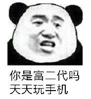 你是富二代吗？天天玩手机