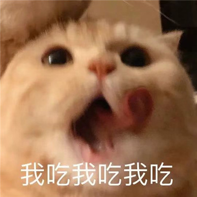 精选聊天的趣味表情包大全 又到了存表情包的快乐时间