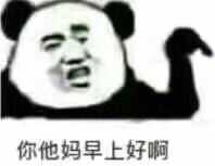 你他妈早上好啊