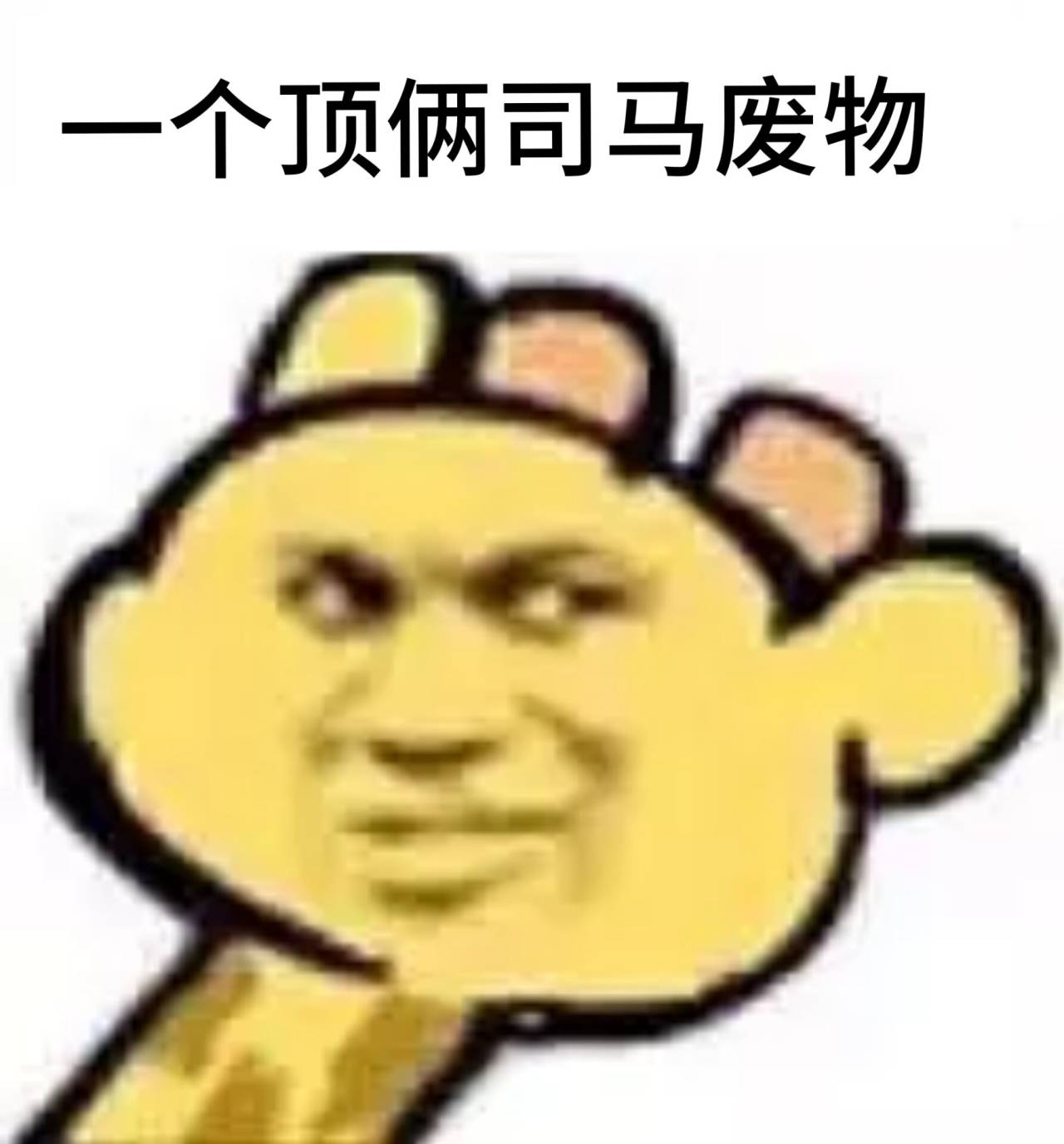 个顶项俩司马废物